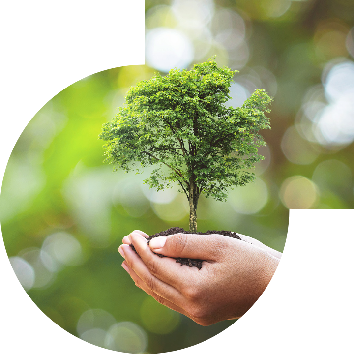 关怀人类、文化、环境与社会